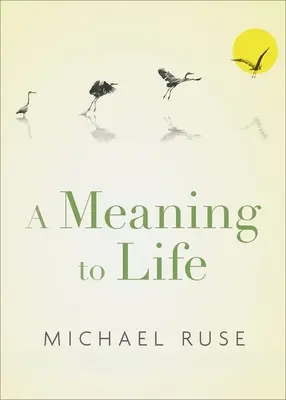 Un senso alla vita - A Meaning to Life