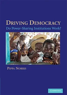 Guidare la democrazia: Le istituzioni di condivisione del potere funzionano? - Driving Democracy: Do Power-Sharing Institutions Work?