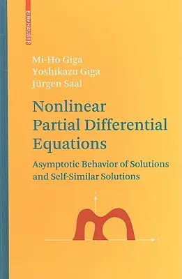 Equazioni differenziali parziali non lineari: Comportamento asintotico delle soluzioni e soluzioni autosimili - Nonlinear Partial Differential Equations: Asymptotic Behavior of Solutions and Self-Similar Solutions