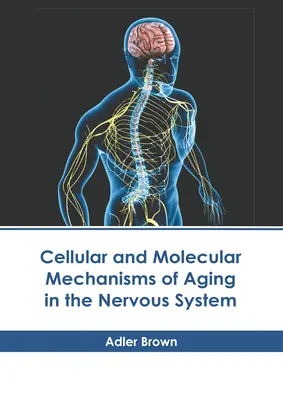 Meccanismi cellulari e molecolari dell'invecchiamento nel sistema nervoso - Cellular and Molecular Mechanisms of Aging in the Nervous System