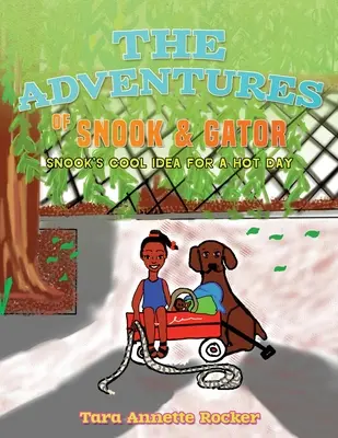 Le avventure di Snook e Gator: L'idea fresca di Snook per una giornata calda - The Adventures of Snook & Gator: Snook's Cool Idea for A Hot Day