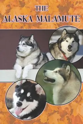 Il Malamute dell'Alaska: Una guida completa ed esaustiva per i principianti su: Acquistare, possedere, salute, toelettatura, addestramento, obbedienza, comprendere - The Alaska Malamute: A Complete and Comprehensive Beginners Guide To: Buying, Owning, Health, Grooming, Training, Obedience, Understanding