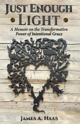 Basta la luce: Memorie sul potere trasformativo della grazia intenzionale - Just Enough Light: A Memoir on the Transformative Power of Intentional Grace