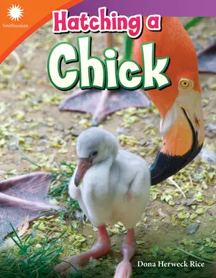 Covare un pulcino - Hatching a Chick