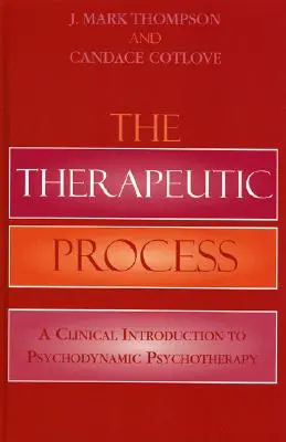 Il processo terapeutico: Introduzione clinica alla psicoterapia psicodinamica - The Therapeutic Process: A Clinical Introduction to Psychodynamic Psychotherapy