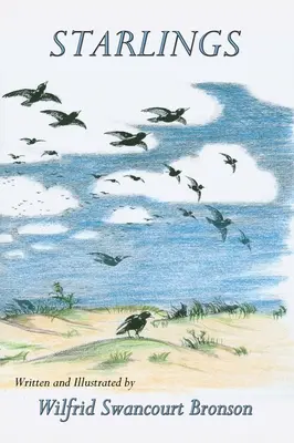 Storni - Starlings