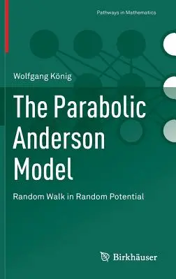 Il modello parabolico di Anderson: una passeggiata casuale in un potenziale casuale - The Parabolic Anderson Model: Random Walk in Random Potential