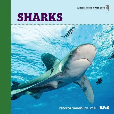 Squali - Sharks