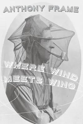 Dove il vento incontra le ali - Where Wind Meets Wing