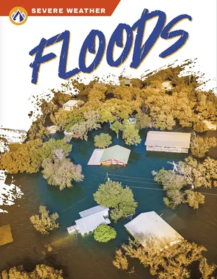 Alluvioni - Floods