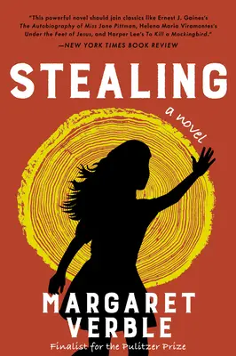 Rubare - Stealing