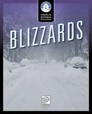 Bufere di neve - Blizzards