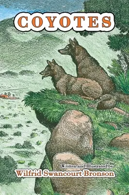 Coyote - Coyotes