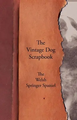 L'album dei ricordi del cane d'epoca - Lo Springer Spaniel gallese - The Vintage Dog Scrapbook - The Welsh Springer Spaniel