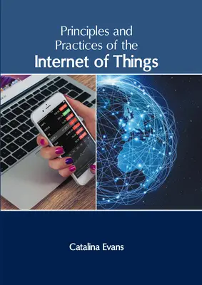 Principi e pratiche dell'Internet delle cose - Principles and Practices of the Internet of Things