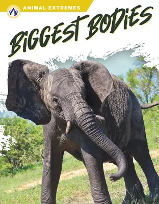 I corpi più grandi - Biggest Bodies