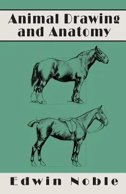 Disegno e anatomia degli animali - Animal Drawing and Anatomy