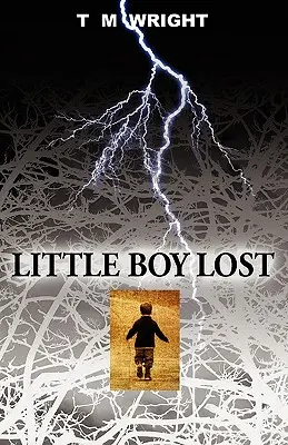 Il bambino perduto - Little Boy Lost