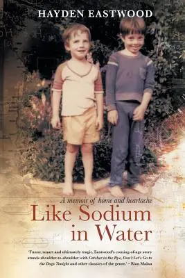 Come il sodio nell'acqua: Un libro di memorie di casa e di dolore - Like Sodium in Water: A memoir of home and heartache