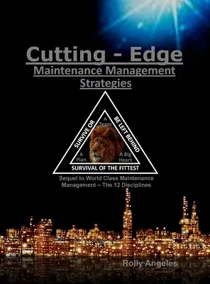 Strategie di gestione della manutenzione all'avanguardia: Terza e quarta disciplina sulla gestione della manutenzione di classe mondiale, Le 12 discipline - Cutting Edge Maintenance Management Strategies: 3rd and 4th Discipline on World Class Maintenance Management, The 12 Disciplines
