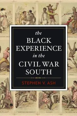 L'esperienza dei neri nel Sud della Guerra Civile - The Black Experience in the Civil War South