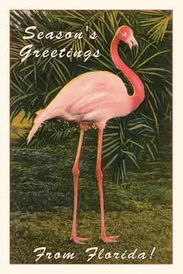 Diario d'epoca Saluti di stagione dalla Florida, Flamingo - Vintage Journal Season Greetings from Florida, Flamingo