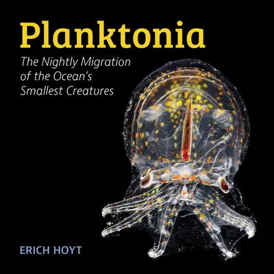 Planktonia: La migrazione notturna delle creature più piccole dell'oceano - Planktonia: The Nightly Migration of the Ocean's Smallest Creatures