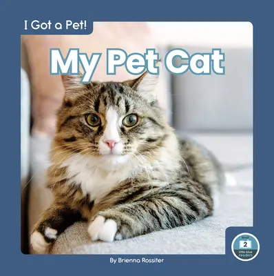 Il mio gatto domestico - My Pet Cat