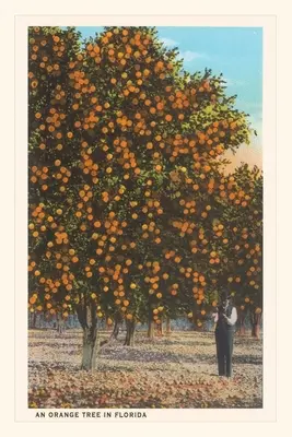 Diario d'epoca Alberi d'arancio - Vintage Journal Orange Trees