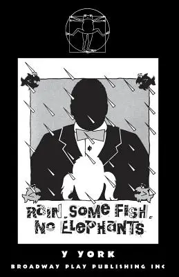 Pioggia. Alcuni pesci. Niente elefanti. - Rain. Some Fish. No Elephants.