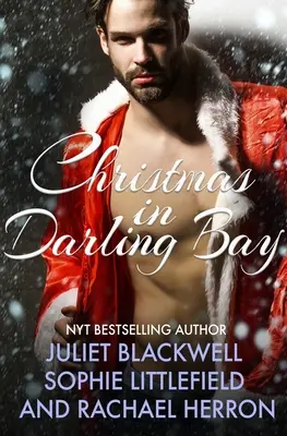 Il Natale di Darling Bay: Tre brevi storie natalizie che scaldano il cuore - A Darling Bay Christmas: Three Heartwarming Holiday Short Stories