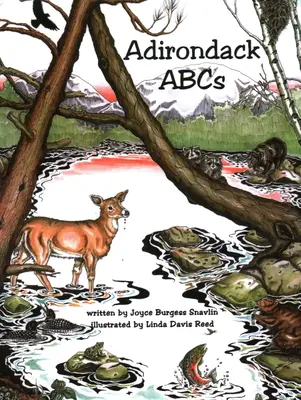 L'ABC degli Adirondack - Adirondack ABCs