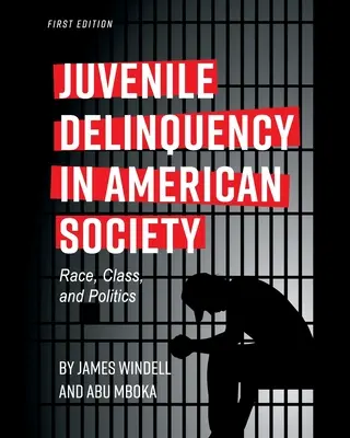 La delinquenza giovanile nella società americana: Razza, classe e politica - Juvenile Delinquency in American Society: Race, Class, and Politics