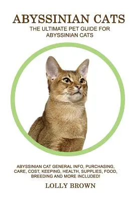 Gatti abissini: Gatto abissino: informazioni generali, acquisto, cura, costi, mantenimento, salute, forniture, cibo, allevamento e altro ancora! Il - Abyssinian Cats: Abyssinian Cat General Info, Purchasing, Care, Cost, Keeping, Health, Supplies, Food, Breeding and More Included! The