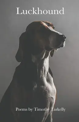 Il segugio della fortuna - Luckhound