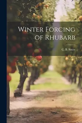 Forzatura invernale del rabarbaro - Winter Forcing of Rhubarb