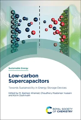 Supercondensatori a basso contenuto di carbonio: Verso la sostenibilità dei dispositivi di accumulo dell'energia - Low-Carbon Supercapacitors: Towards Sustainability in Energy Storage Devices