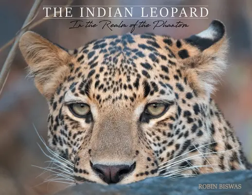 Il leopardo indiano: nel regno del fantasma - The Indian Leopard: In the Realm of the Phantom