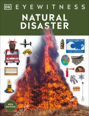 Disastri naturali - Natural Disasters