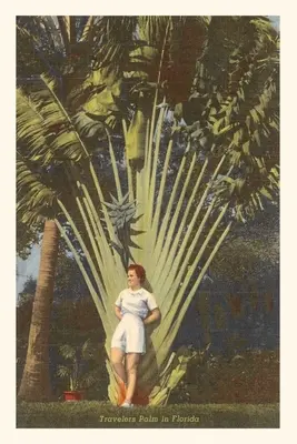 Diario d'epoca Travelers Palm, Florida - Vintage Journal Travelers Palm, Florida