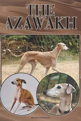 L'Azawakh: Guida completa ed esaustiva per principianti a: Comprare, possedere, salute, toelettatura, addestramento, obbedienza, capire - The Azawakh: A Complete and Comprehensive Beginners Guide To: Buying, Owning, Health, Grooming, Training, Obedience, Understanding