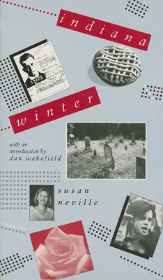 L'inverno dell'Indiana - Indiana Winter