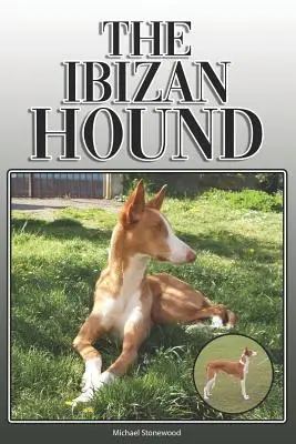 Il mastino ibizenco: Una guida completa ed esaustiva per il proprietario: Acquisto, possesso, salute, toelettatura, addestramento, obbedienza, comprensione e - The Ibizan Hound: A Complete and Comprehensive Owners Guide To: Buying, Owning, Health, Grooming, Training, Obedience, Understanding and