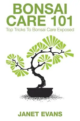Cura dei bonsai 101: I principali trucchi per la cura dei bonsai svelati - Bonsai Care 101: Top Tricks to Bonsai Care Exposed