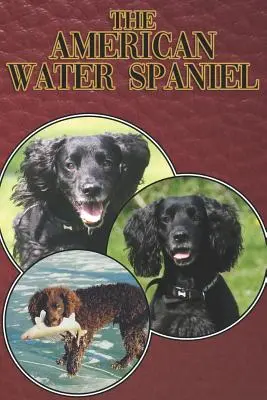 Lo Spaniel d'acqua americano: una guida completa ed esaustiva per principianti a: Acquistare, possedere, salute, curare, addestrare, obbedire, capire - The American Water Spaniel: A Complete and Comprehensive Beginners Guide To: Buying, Owning, Health, Grooming, Training, Obedience, Understanding