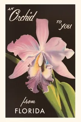 Diario d'epoca Un'orchidea della Florida - Vintage Journal An Orchid from Florida
