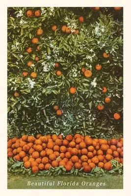 Diario d'epoca Arance, Florida - Vintage Journal Oranges, Florida