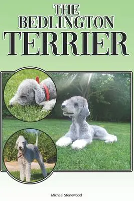 Il Bedlington Terrier: Guida completa ed esaustiva per principianti a: Comprare, possedere, salute, toelettatura, addestramento, obbedienza, capire - The Bedlington Terrier: A Complete and Comprehensive Beginners Guide To: Buying, Owning, Health, Grooming, Training, Obedience, Understanding