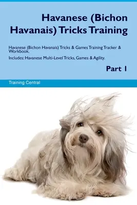 Trucchi per l'addestramento dell'Havanese (Bichon Havanais) Trucchi e giochi per l'addestramento e libro di lavoro. Include: Trucchi, giochi e agilità a più livelli per l'Havanese. - Havanese (Bichon Havanais) Tricks Training Havanese Tricks & Games Training Tracker & Workbook. Includes: Havanese Multi-Level Tricks, Games & Agility