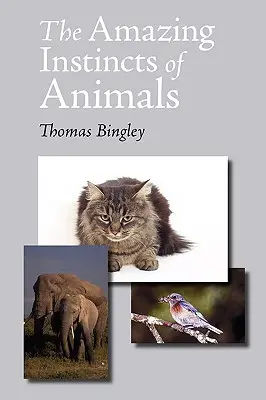Gli incredibili istinti degli animali - The Amazing Instincts of Animals
